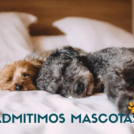 Daire Casa Boira 3000 *