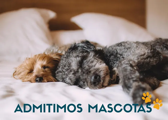 Apartamento Casa Boira 3000 *